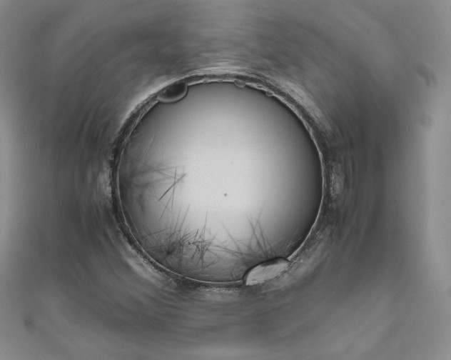 X0000111471356200907271303