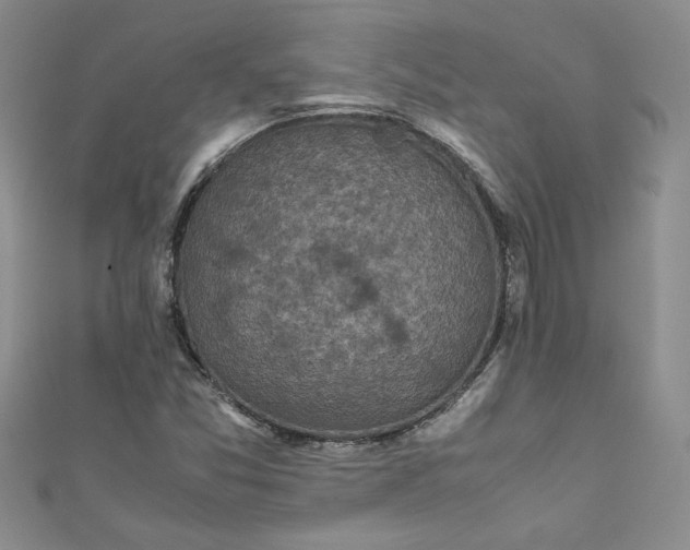 X0000111471357200907271303