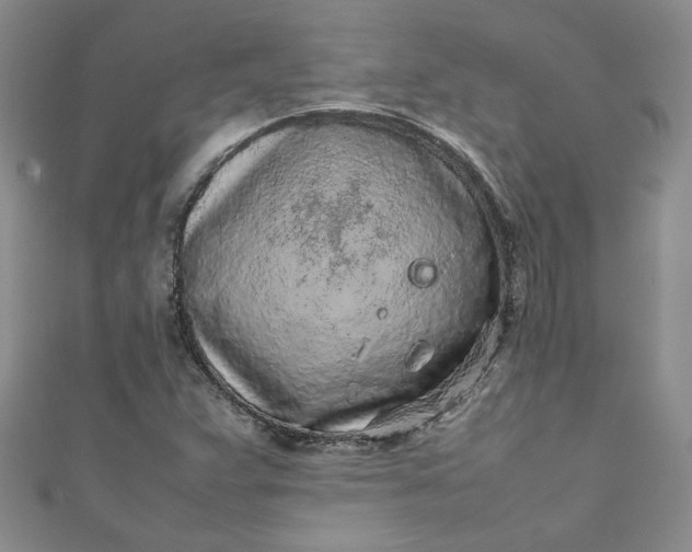 X0000111471359200907271303