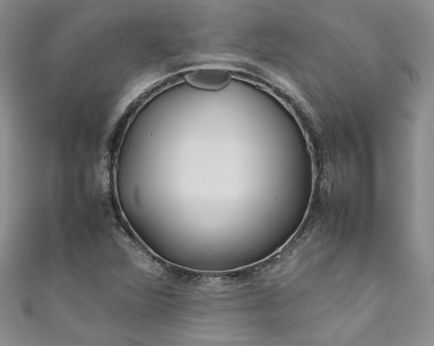 X0000111471360200907271303