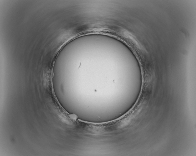 X0000111471361200907271303