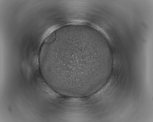 X0000111471362200907271303