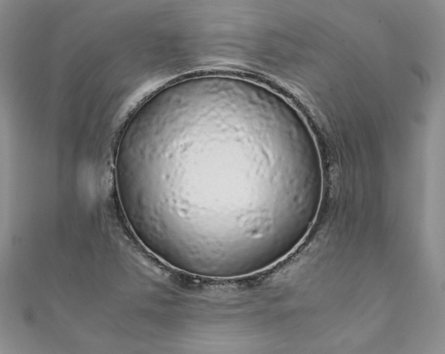 X0000111471363200907271303