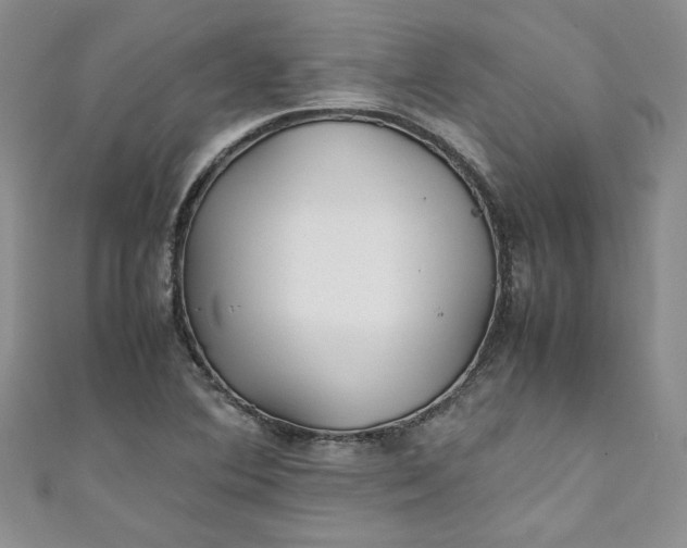 X0000111471364200907271303