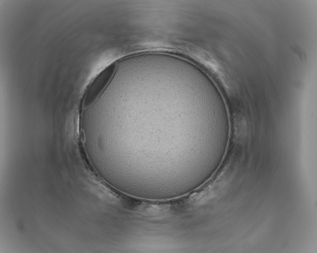 X0000111471365200907271303