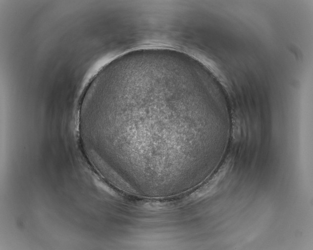 X0000111471366200907271303