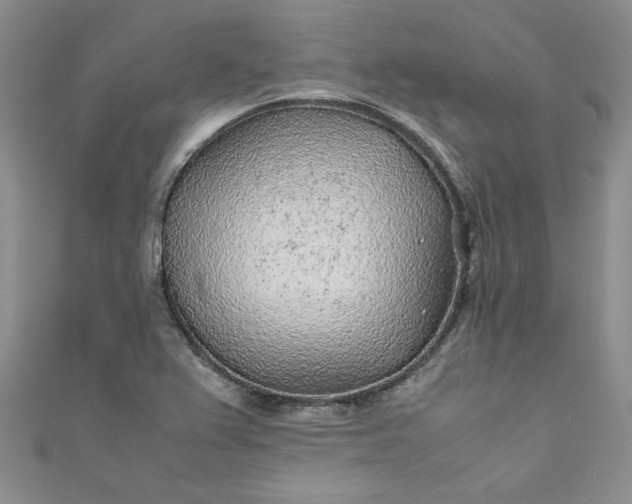 X0000111471367200907271303