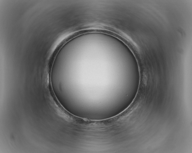 X0000111471368200907271303