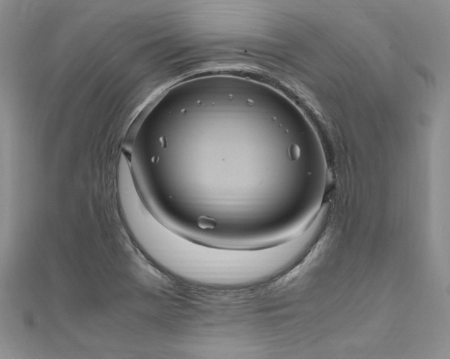 X0000111471369200907271303