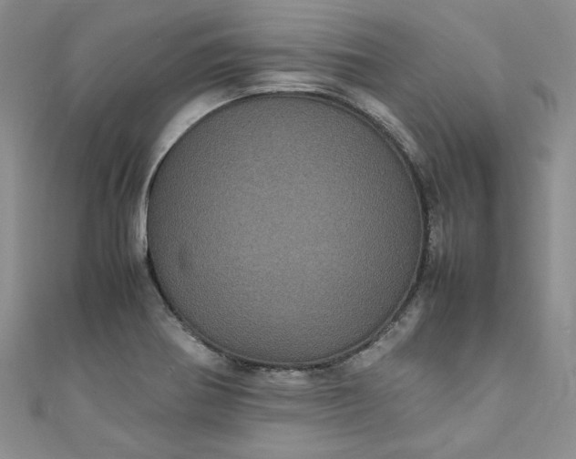 X0000111471370200907271303