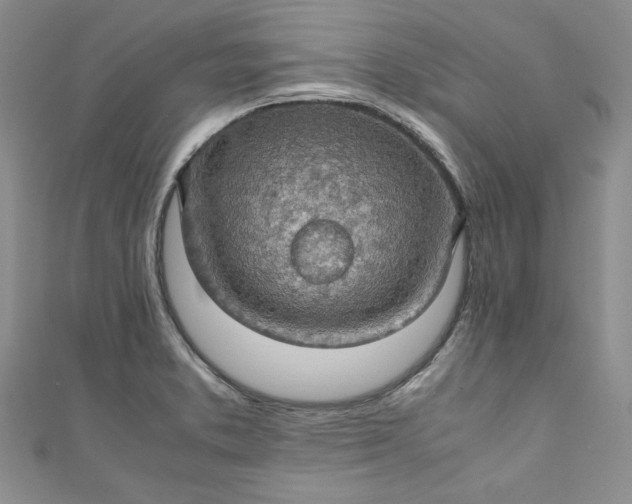 X0000111471373200907271303