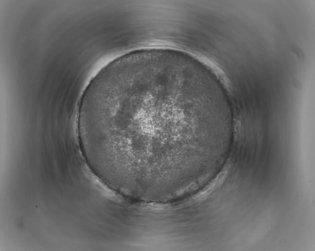 X0000111471374200907271303