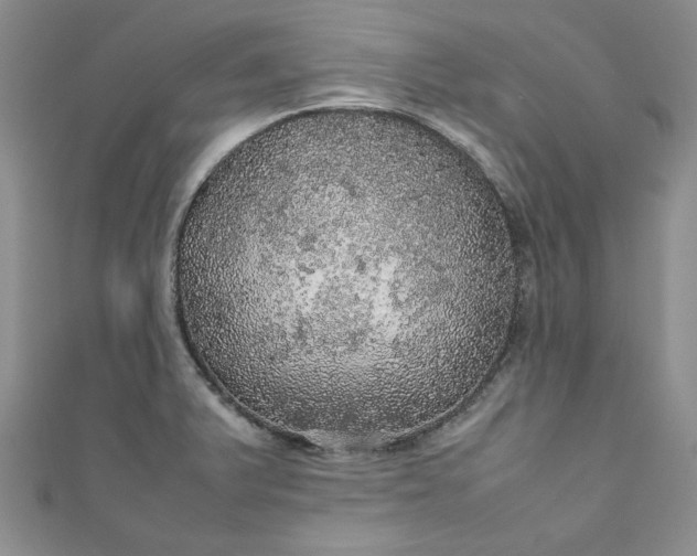 X0000111471375200907271303