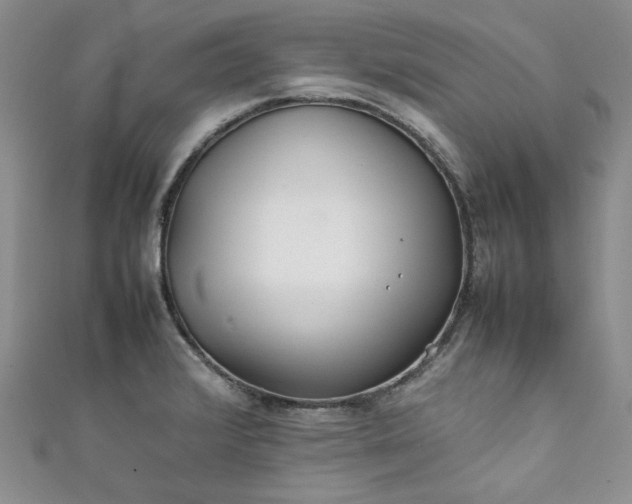 X0000111471376200907271303