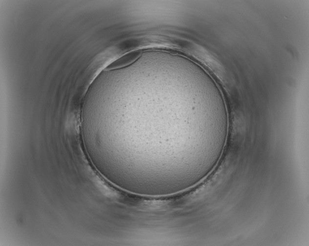 X0000111471377200907271303