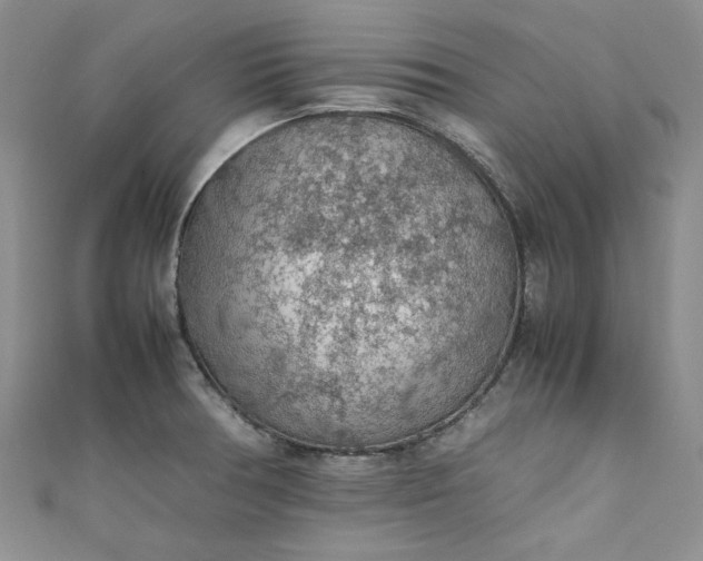 X0000111471378200907271303