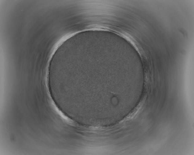 X0000111471379200907271303