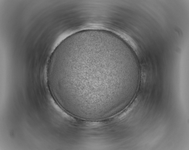 X0000111471382200907271303