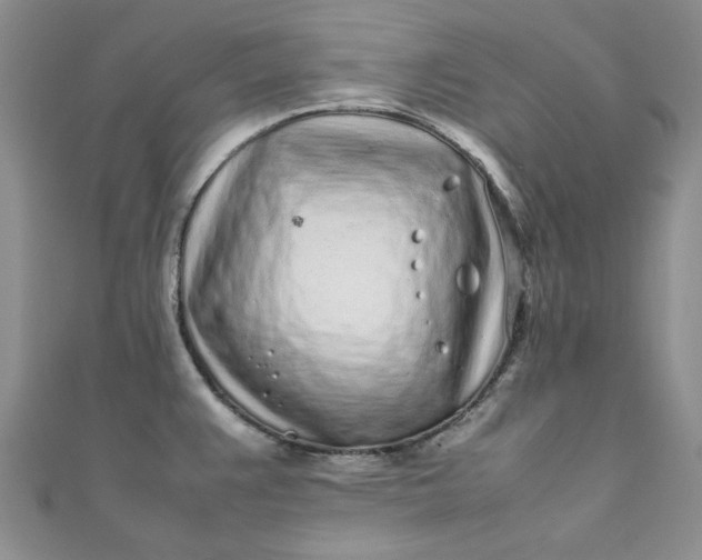 X0000111471383200907271303