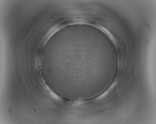 X0000111471385200907271303