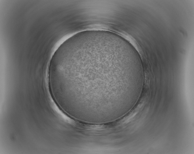 X0000111471387200907271303