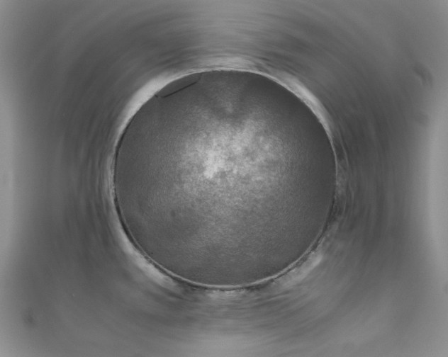 X0000111471389200907271302