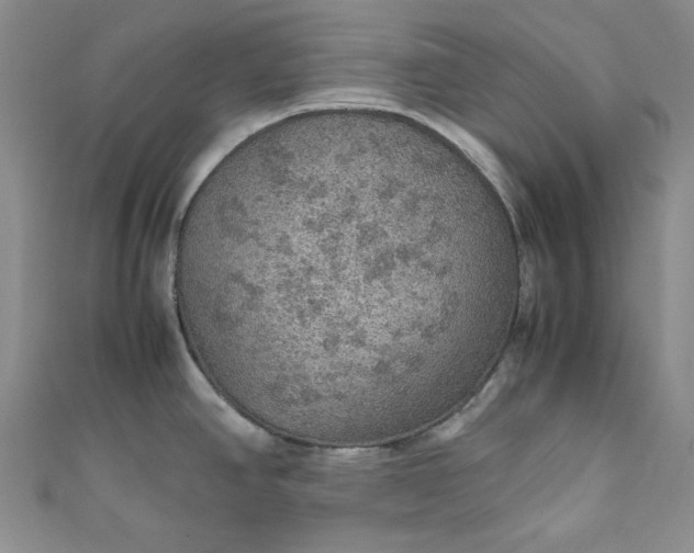 X0000111471390200907271302