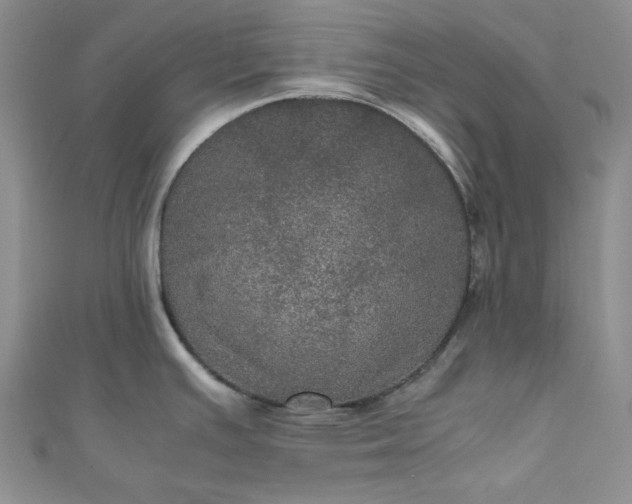 X0000111471391200907271302