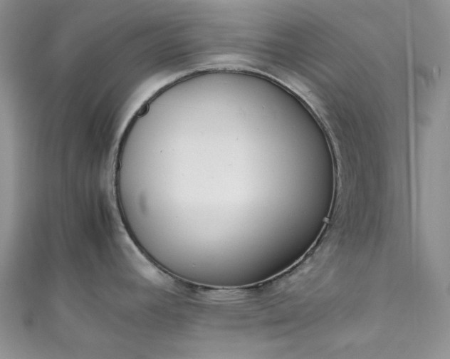 X0000111471392200907271302