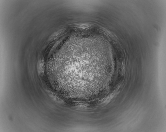 X0000111471394200907271302