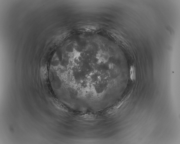 X0000111471395200907271302