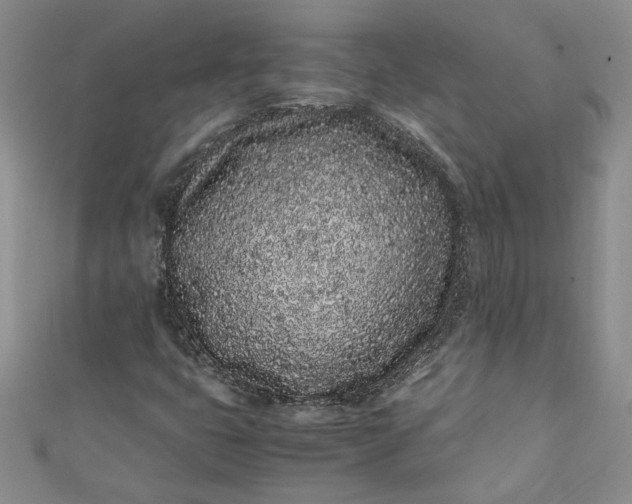 X0000111471399200907271302