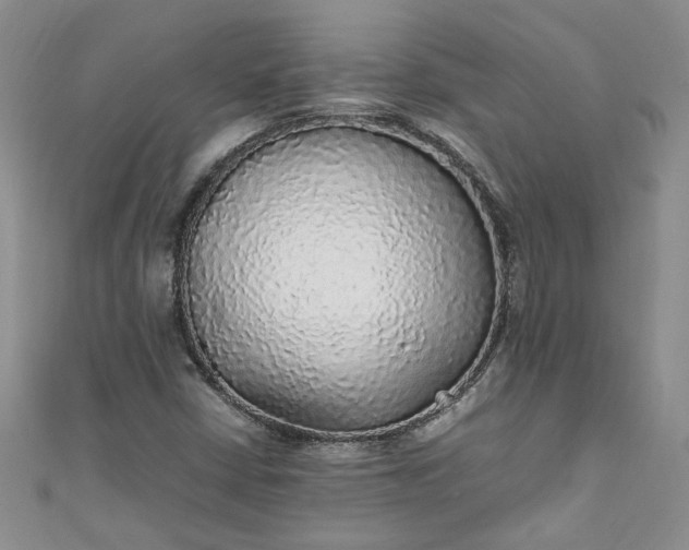 X0000111471402200907271302