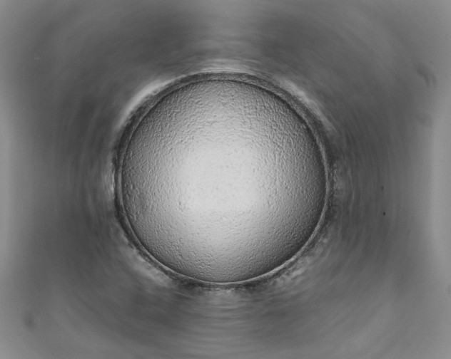 X0000111471408200907271302