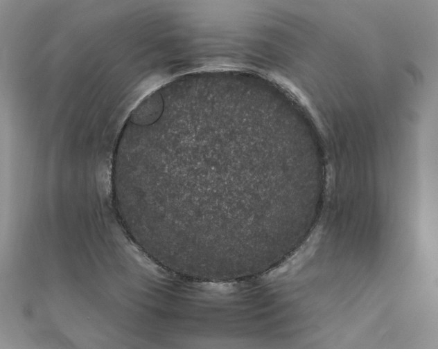 X0000111471409200907271302