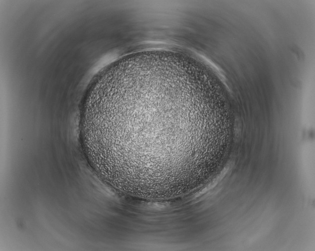 X0000111471411200907271302