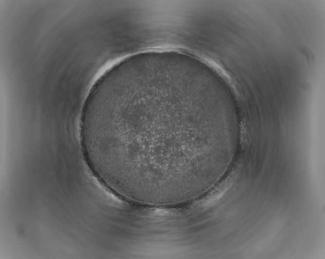 X0000111471412200907271302