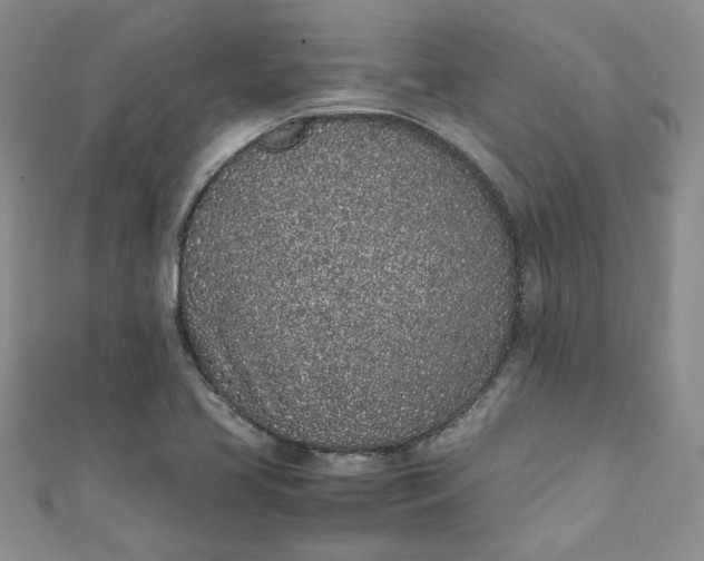 X0000111471413200907271302