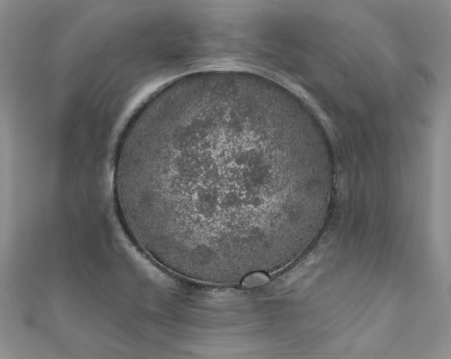 X0000111471416200907271302