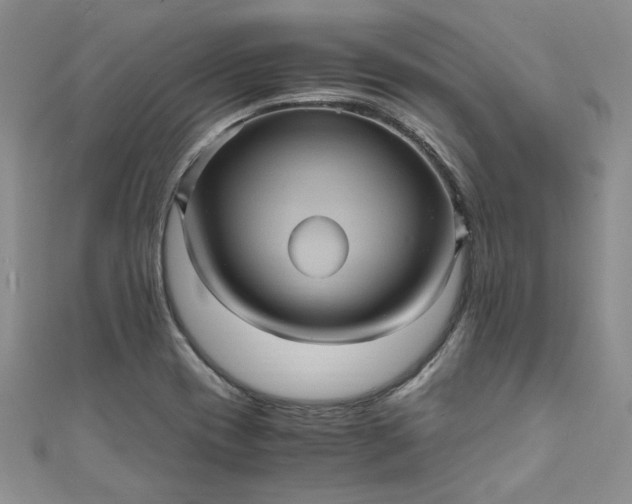 X0000111471417200907271302