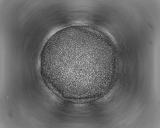 X0000111471419200907271302