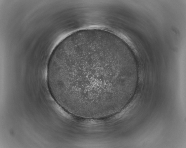 X0000111471420200907271302