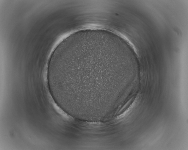 X0000111471421200907271302