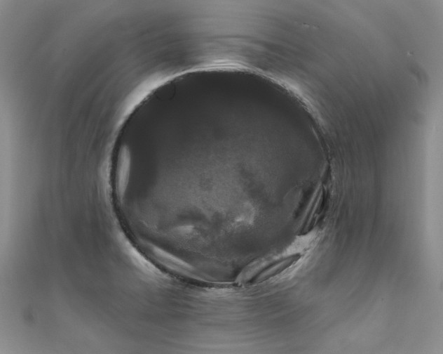 X0000111471422200907271302