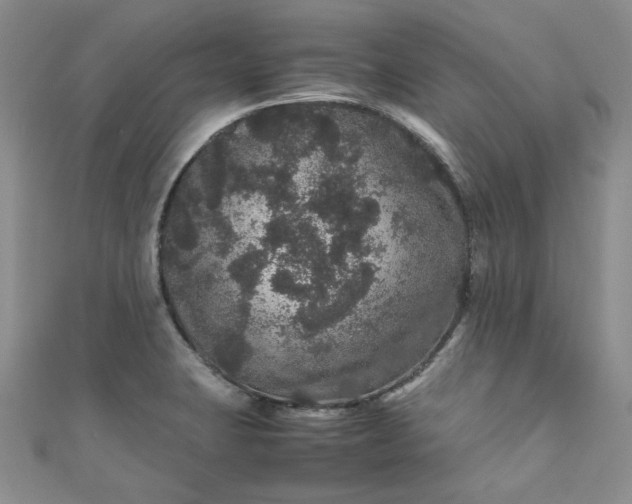 X0000111471423200907271302