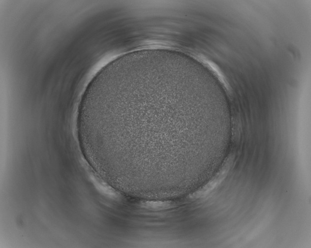 X0000111471427200907271302