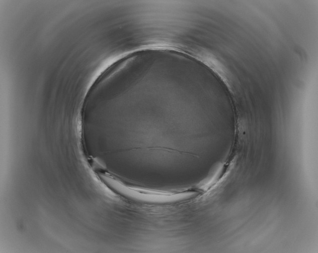 X0000111471428200907271302