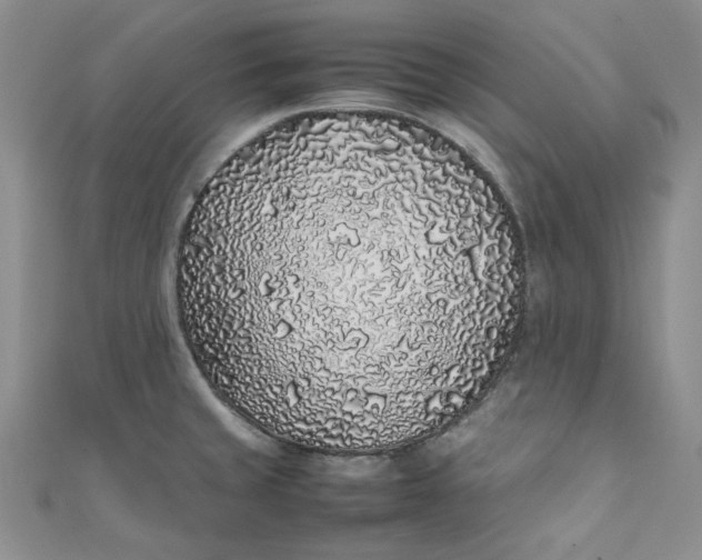 X0000111471429200907271302