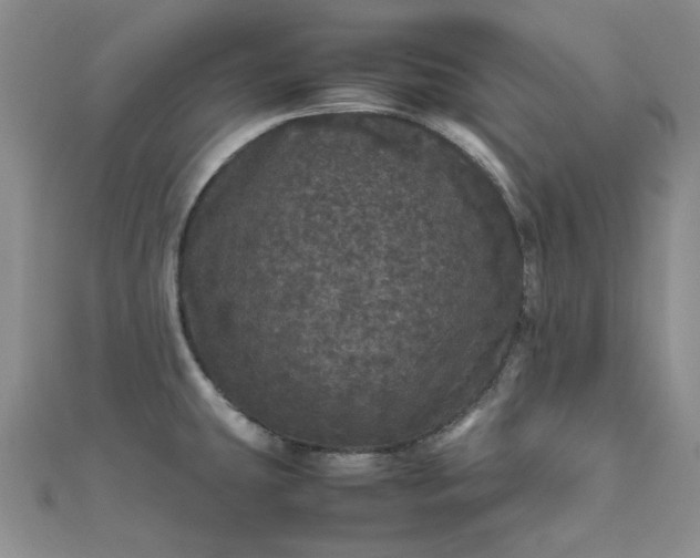 X0000111471431200907271302