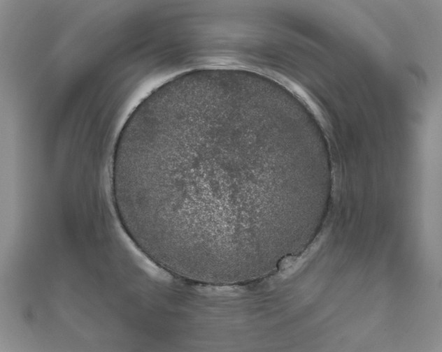 X0000111471432200907271302